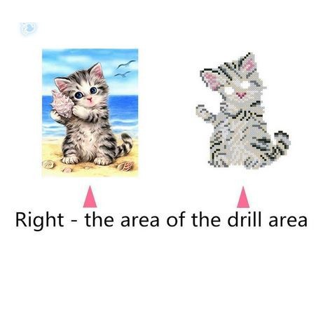 DIY Diamond Painting - 5D Kitten in Beach Stitch Kit