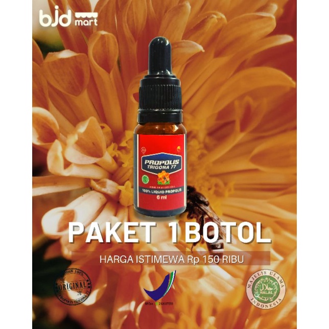 propolis trigona77 paket 1 botol