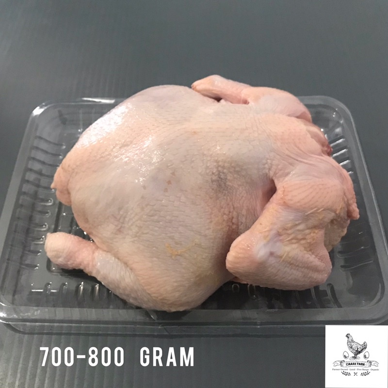 

Ayam Broiler Frozen
