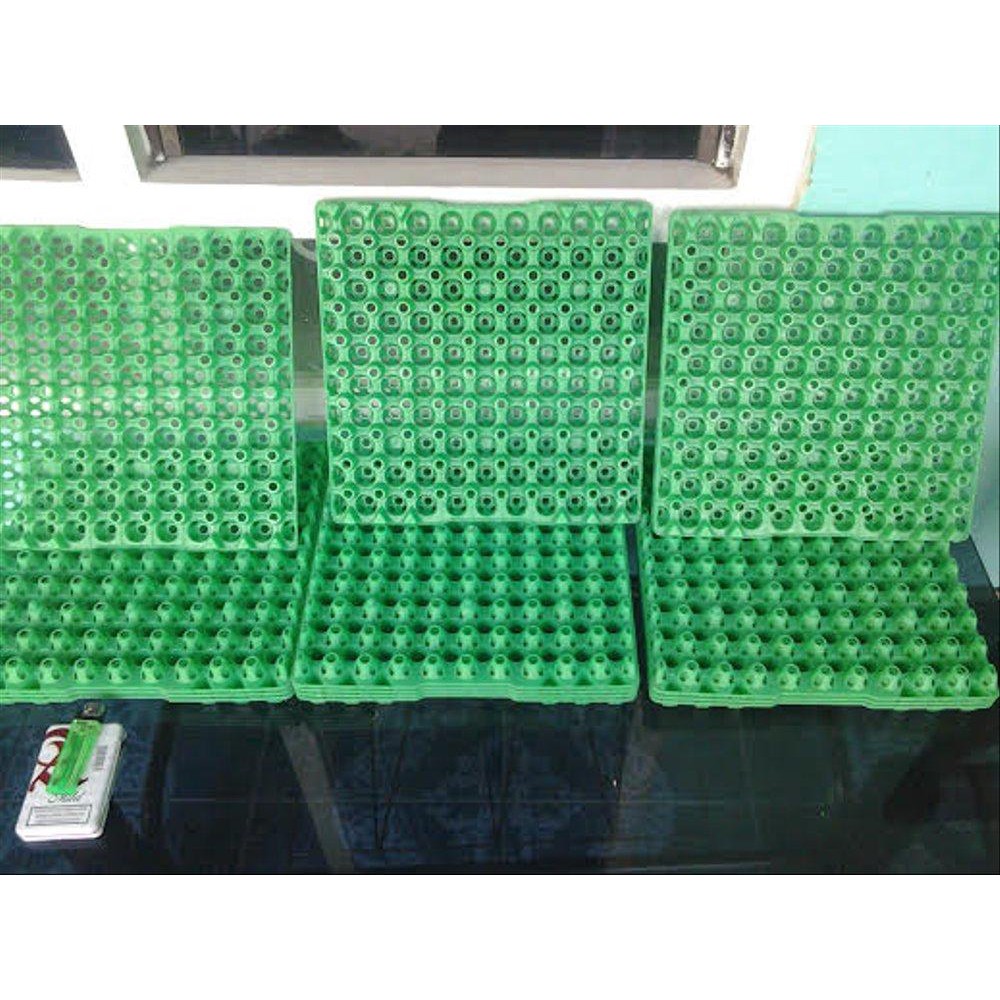 egg tray /tray / tempat telur puyuh plastik