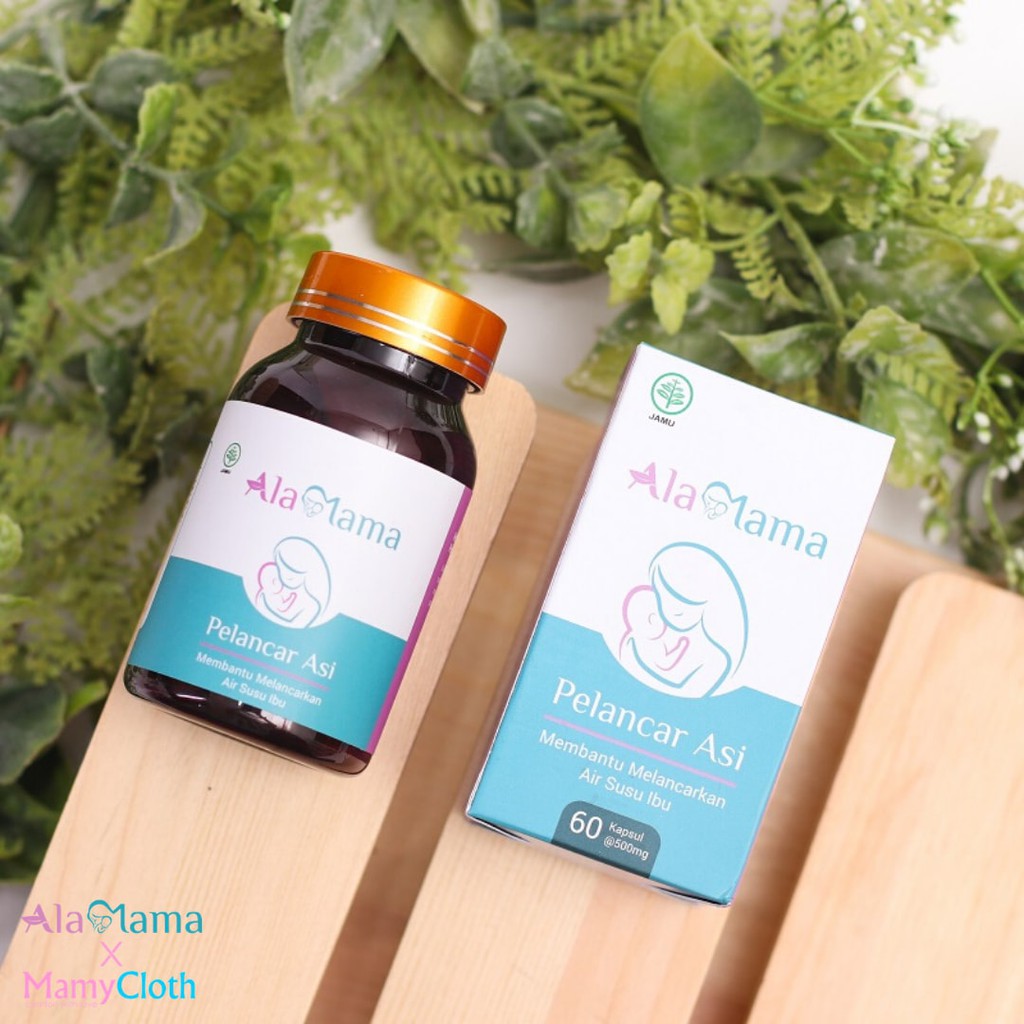ASI BOOSTER IBU HAMIL/PELANCAR ASI
