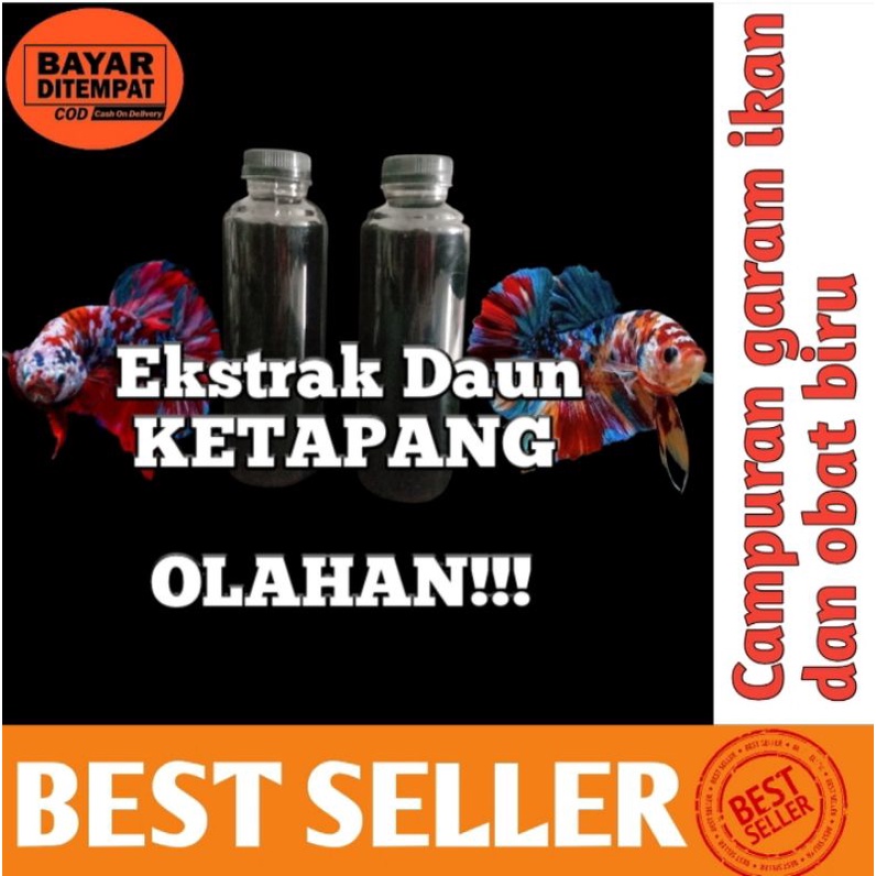 EKSTRAK DAUN KETAPANG OLAHAN250ml