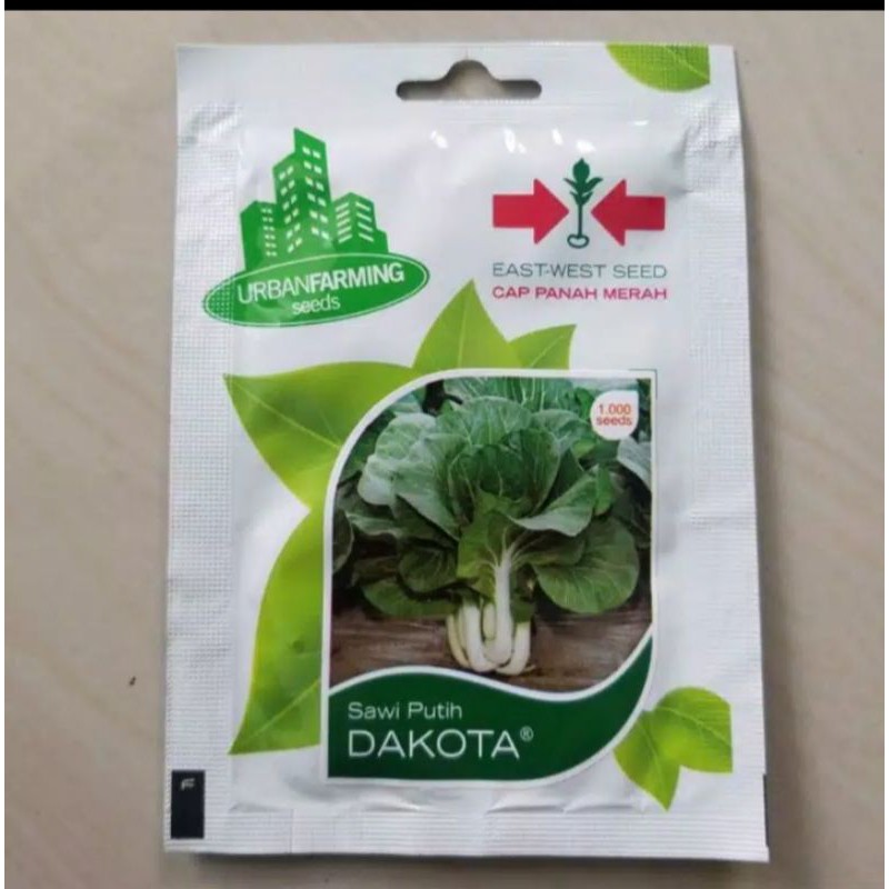 SAWI PUTIH DAKOTA PANAH MERAH