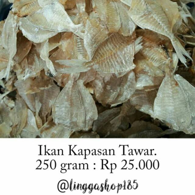 

Ikan Kapasan Tawar