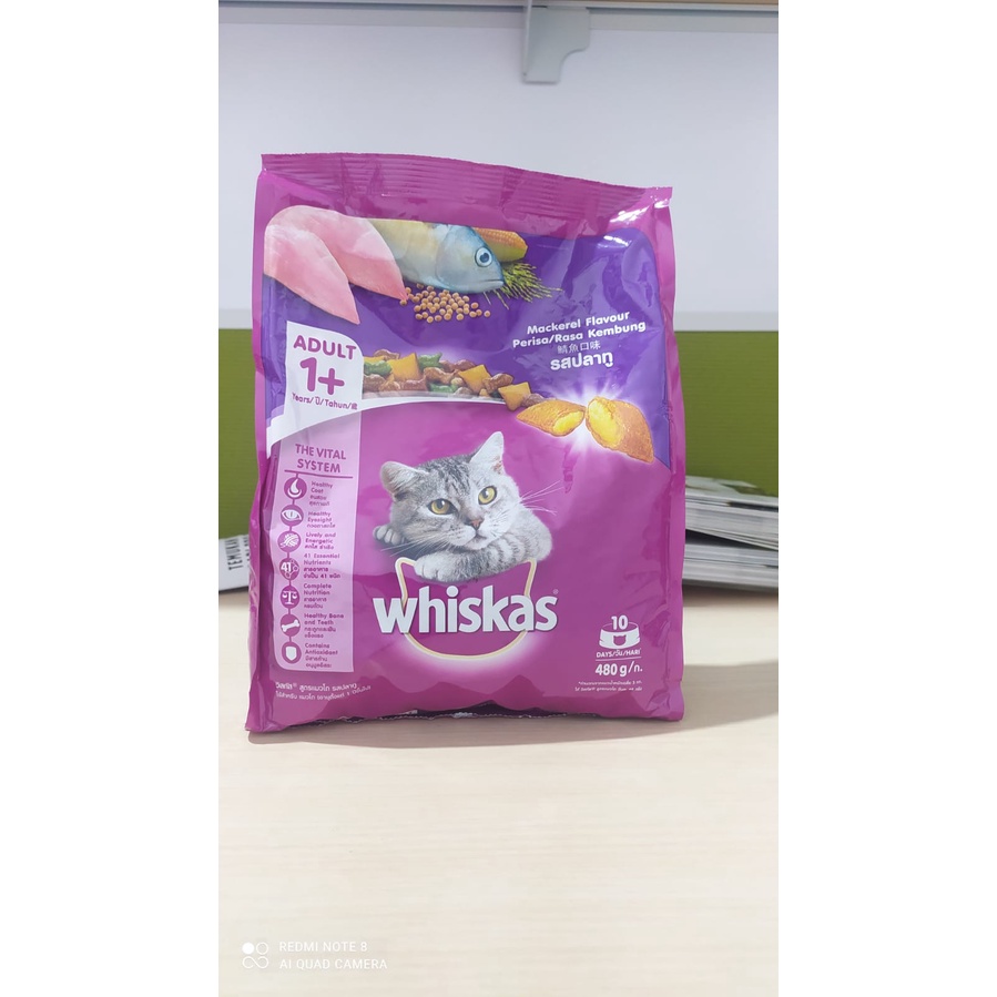 Jual WHISKAS 1+ 480GR Shopee Indonesia