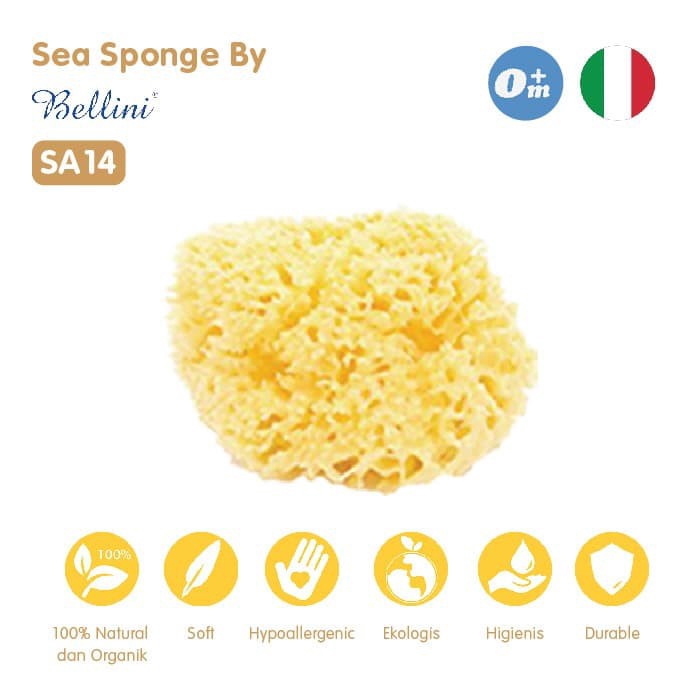 PERA254 SPOONS MANDI BAYI BELLINI HONEYCOMB BLEACHED SPONGE