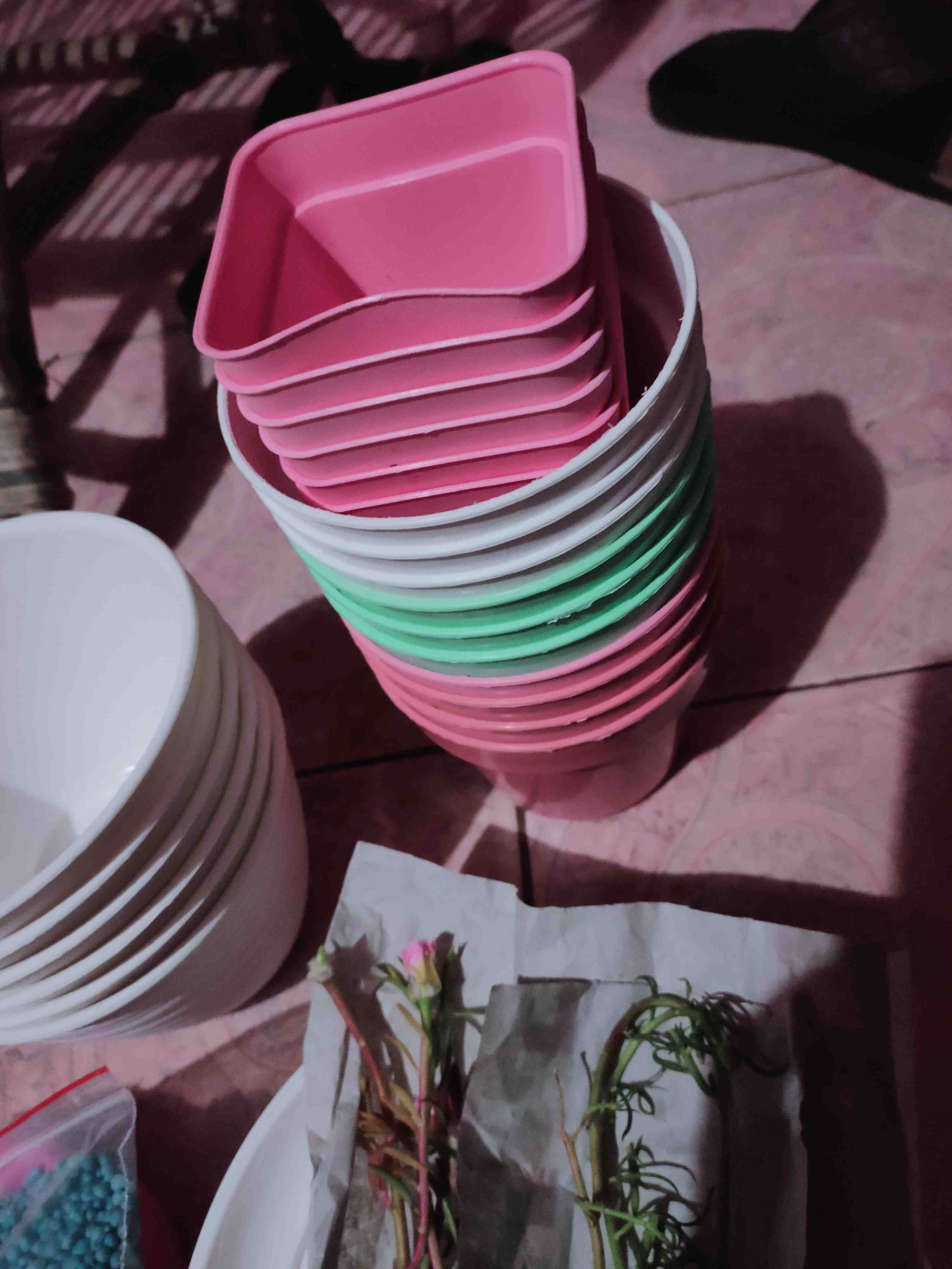 12cm Pot Tawon 12 Budi Jaya