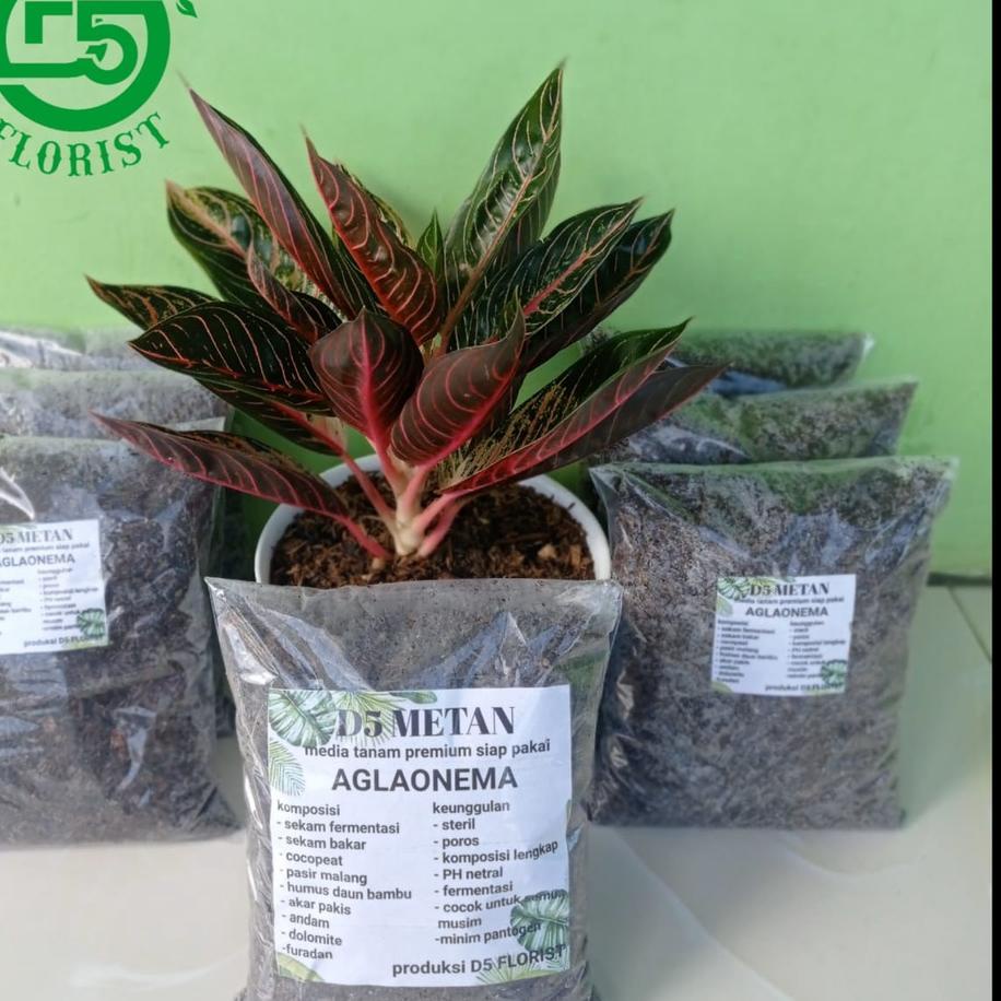 ❖IMPORT❖ Media tanam ,media tanam aglonema ,media tanam aglonema siap pakai , media aglonema , media