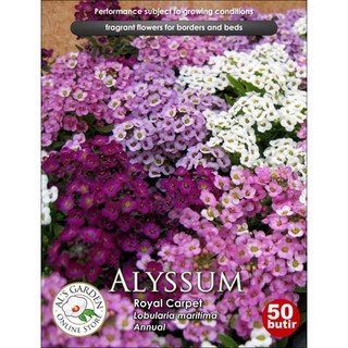 Benih Biji Bunga Alyssum Royal Carpet Pack - Als Garden | Shopee Indonesia