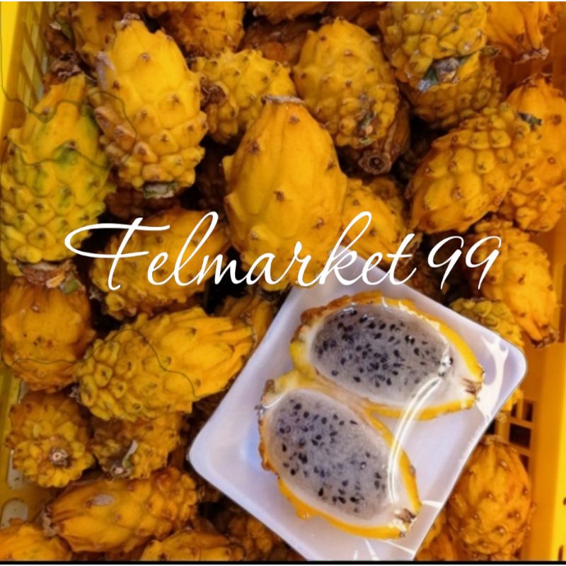 

Buah naga kuning manis baby | dragon fruit yellow | 1 kg