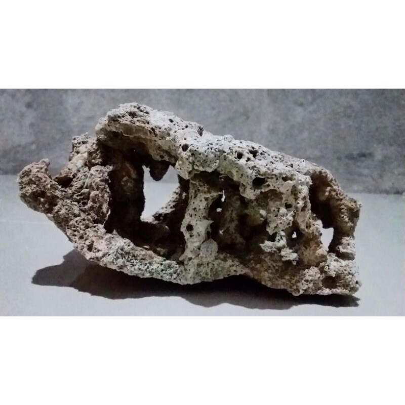 Batu karang lubang goa kecil aquarium aquascape batu karang aquarium batu karang bonsai