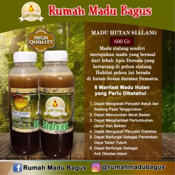 

Madu Murni Hutan Sialang 600 gram