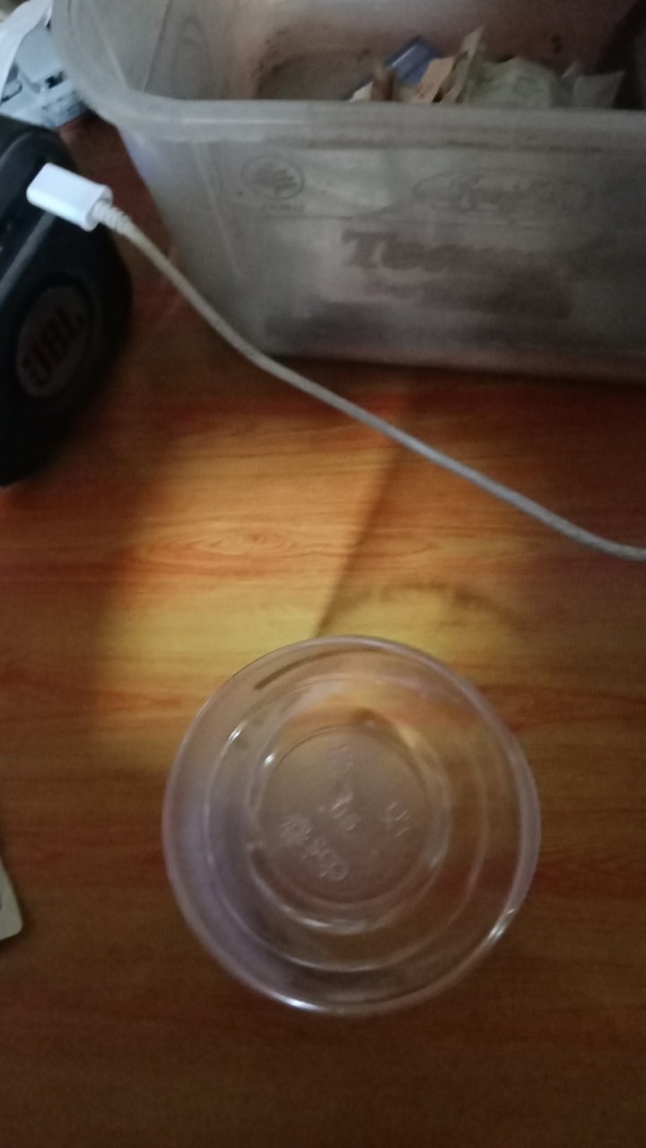 Sablon Gelas Cup Plastik 16oz 7 Gram Minimal Order 1000