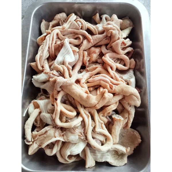 

Usus Ayam