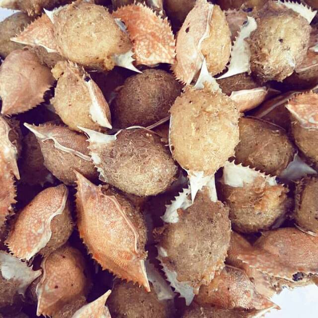 

KEPITING ISI KHAS BELITUNG