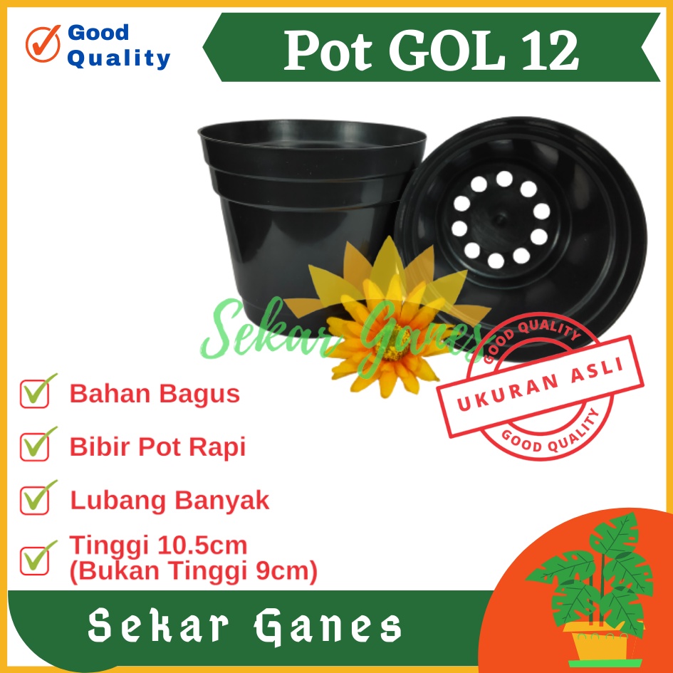 Pot Bunga Plastik 12cm / Kopeng 12 Hitam - Pot Tanaman Plastik 12 Cm Warna Hitam Harga Grosir Hitam