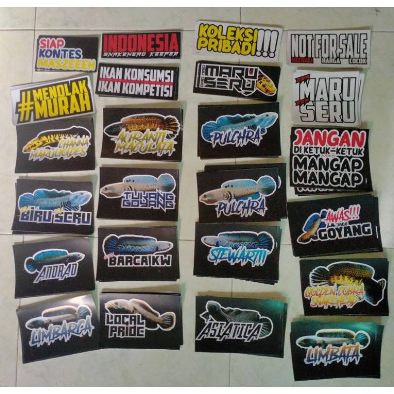 STIKER CHANA hiasan aquarium tempelan akuarium channa