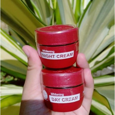 CREAM LC BEAUTY / NIGHT CREAM LC BEAUTY