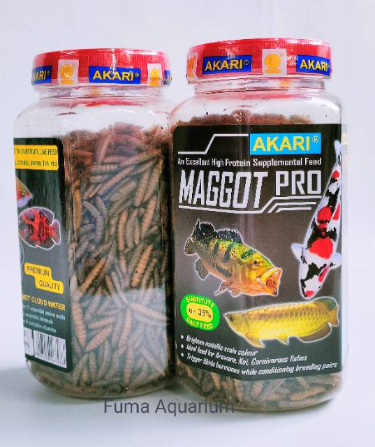 AKARI Maggot Pro 130gr Premium Maggot BSF Kering Pakan Arwana Koi Chana belida Dan semua Ikan predator