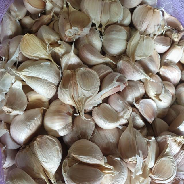 

Bawang Putih Kating 1 kg