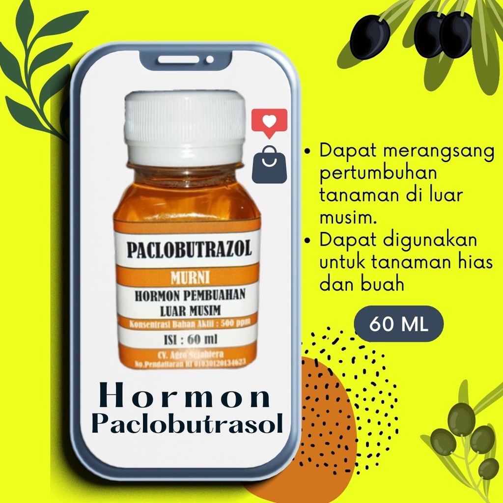 ZPT Tanaman Paclobutrazol Murni Hormon Paclobutrasol Paklobutrasol Untuk Buah Kemasan 60ml