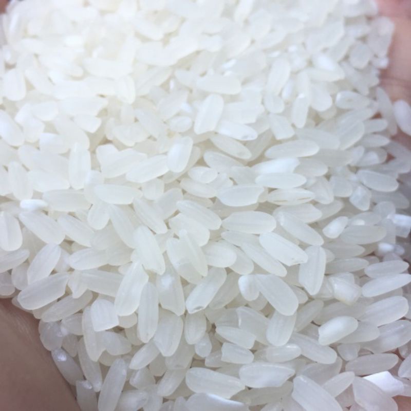 

RJ - BERAS PANDAN WANGI (100% ORIGINAL PANDAN ) karung polos