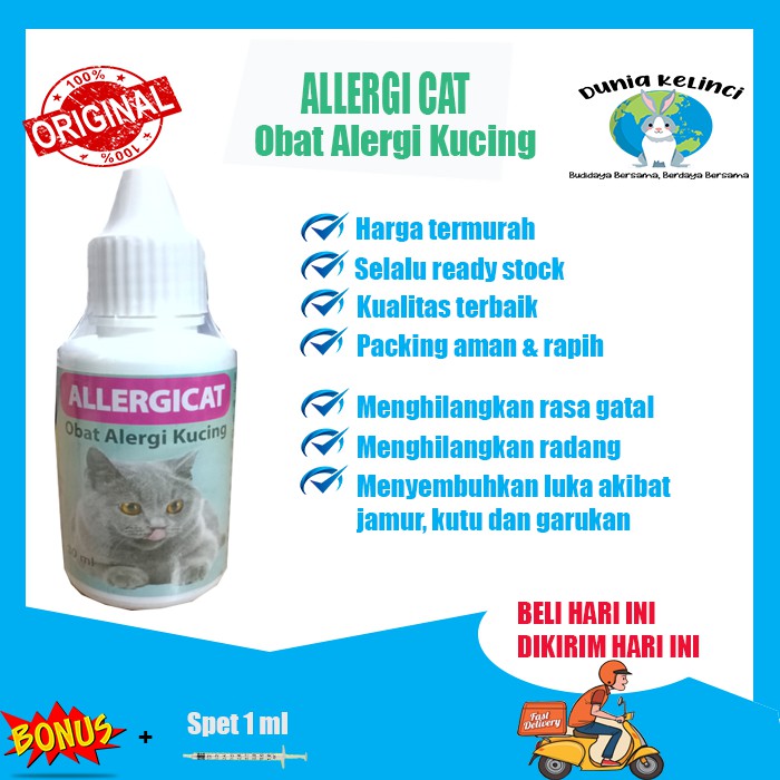 OBAT ALERGI KUCING GATAL RADANG KULIT ALLERGI CAT