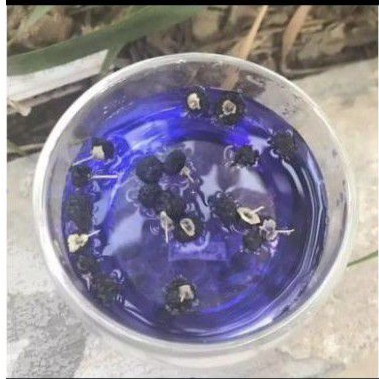 

BLACK GOJIEBERRY/WOLFBERRY 50 GR