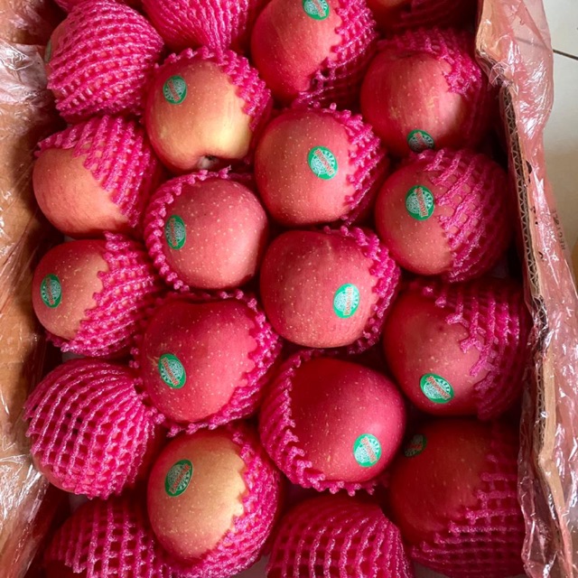 

FRESH4YOU_APEL FUJI GRADE PREMIUM IMPOR APEL MANIS KEMASASAN 1KG