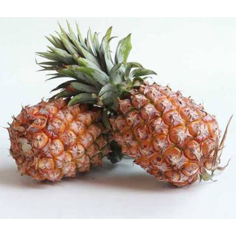 

Buah Segar Nenas per buah