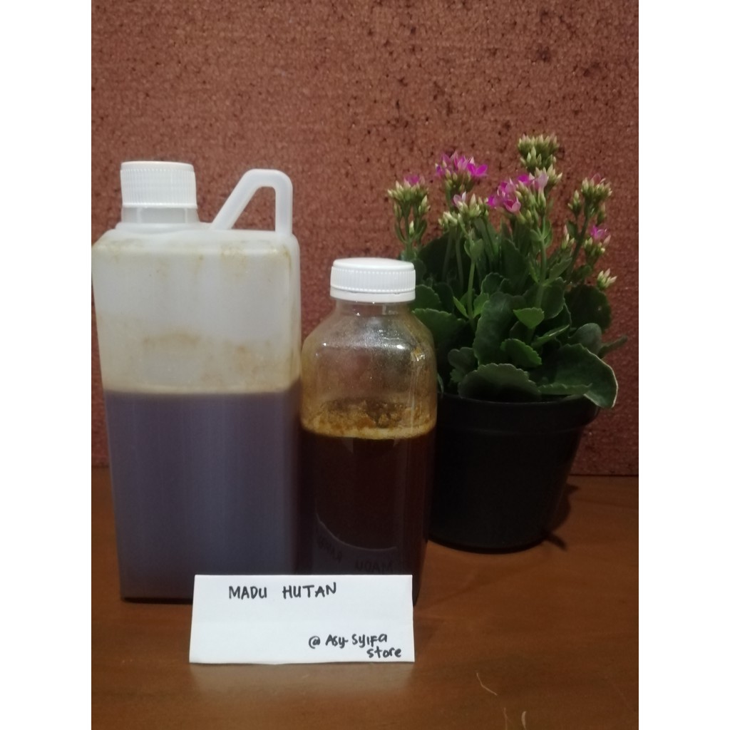 

MADU HUTAN MURNI 500GRAM