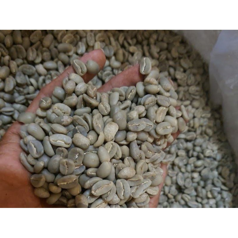 

kopi Gayo Arabic biji roasting fullwash 200gr