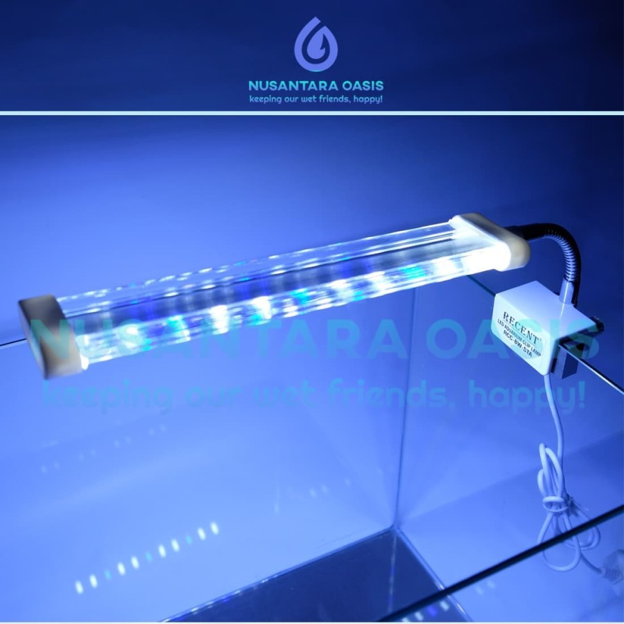 LAMPU LED AQUARIUM AQUASCAPE JEPIT RECENT RCC 6W STA 6 WATT AKUARIUM