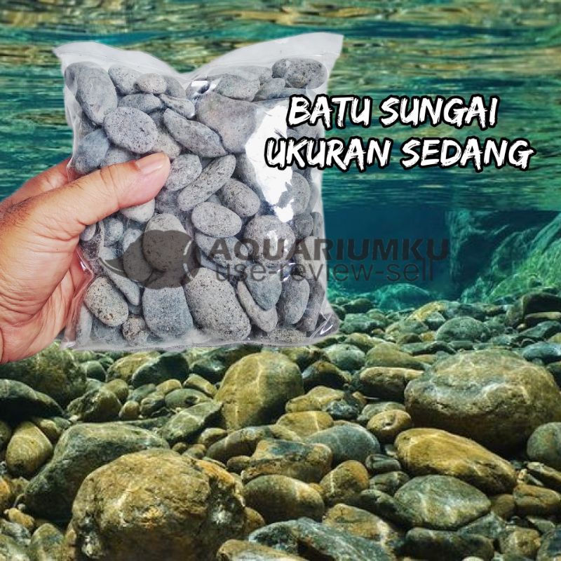 batu sungai / kerikil / koral / hitam ukuran sedang