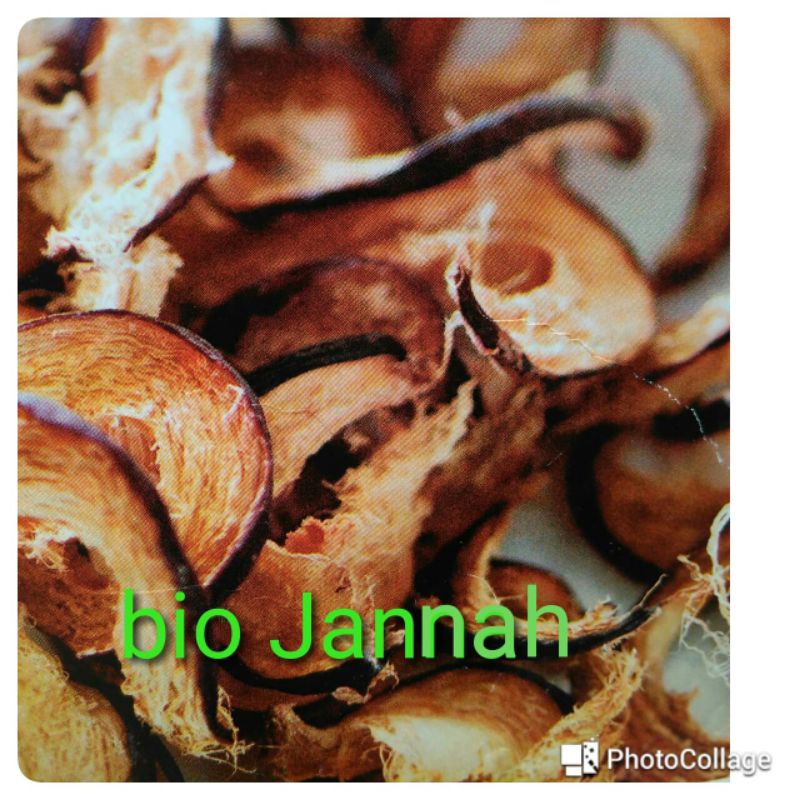

Mahkota dewa kering 100gr