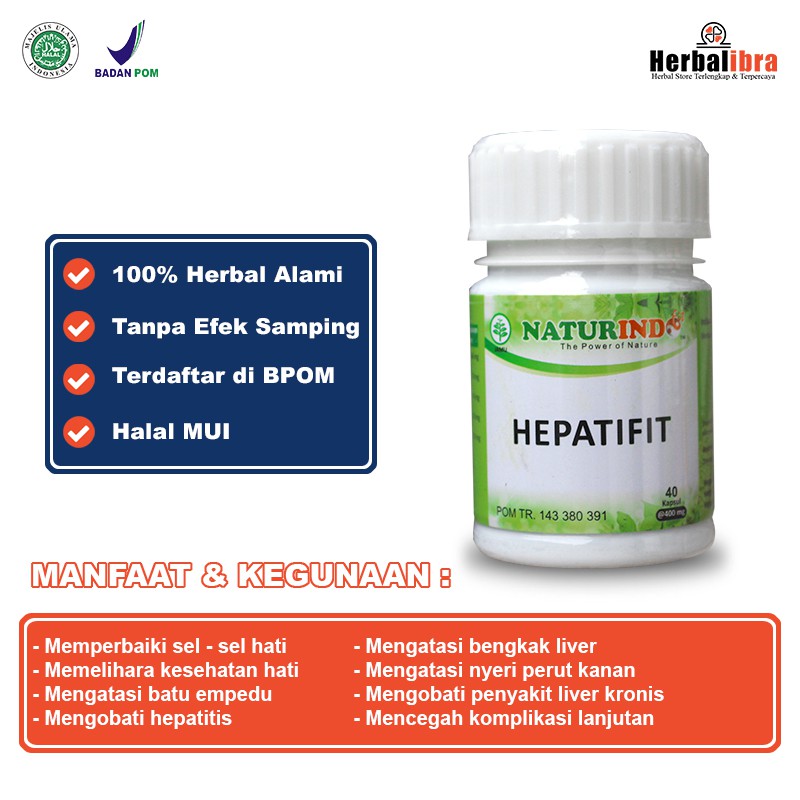 HEPATIFIT obat herbal batu empedu memperbaiki organ hati dan liver nyeri perut kanan dan pencernaan-2