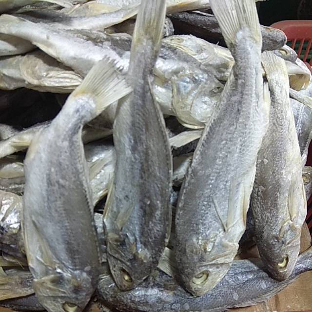 

Ikan asin kepala batu medan® 100% asli, berat 500 gram