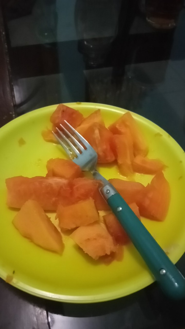 Tongkat Sponge Pembersih Piring Sponge Gelas 1219-131