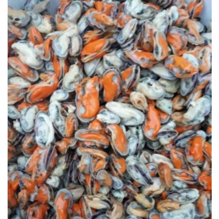 Kerang Hijau Kupas Rebus 500 gr