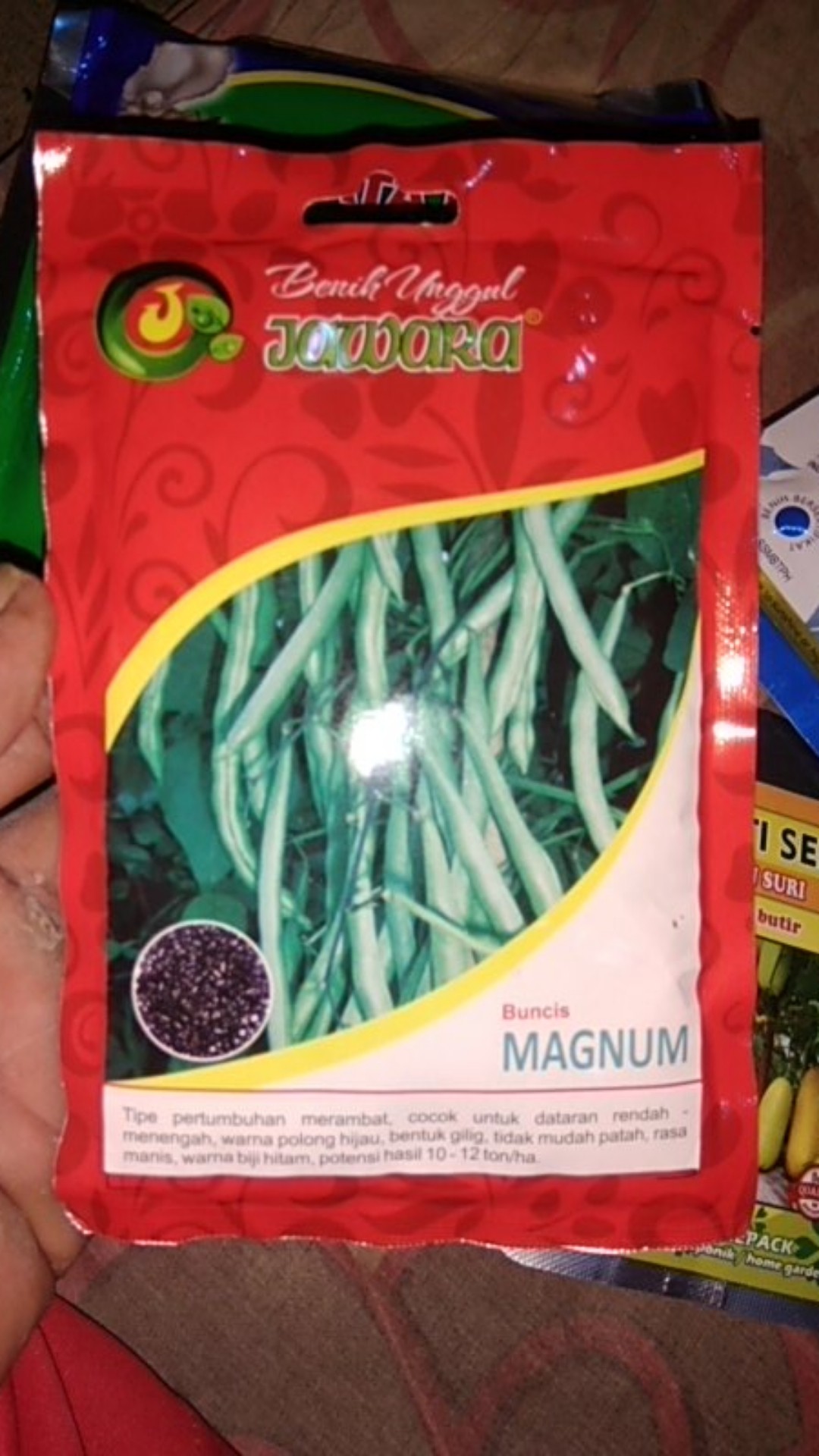 Benih Buncis Biji Hitam Magnum 100 Gram