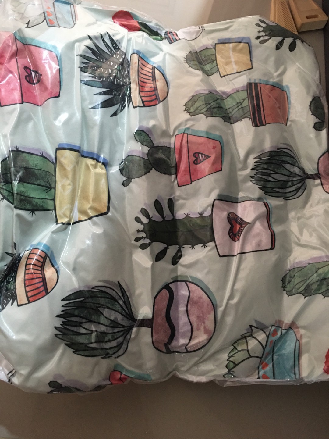 Bantal Sofa Cactus Tanaman Kaktus Set 40x40 Cm - Pusat Kado Murah