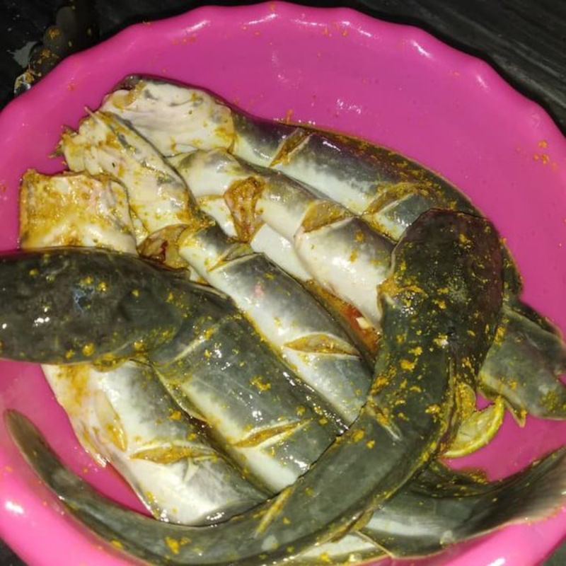 

Lele Frozen bumbu kuning