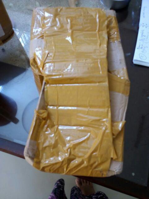 Set Bunga Plastik Aster Dengan Pot Dinding