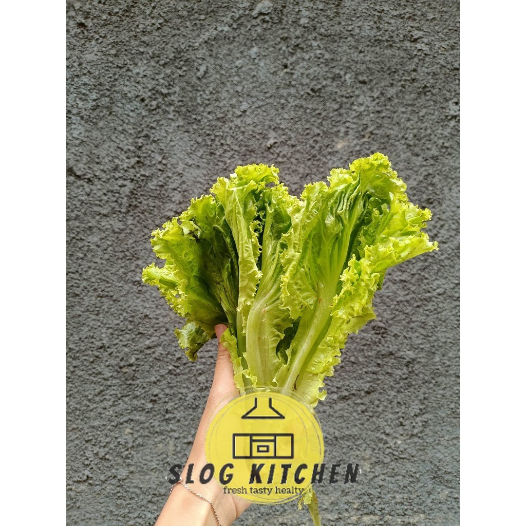 

Selada Salad Lalapan Sayur Lokal 250gr