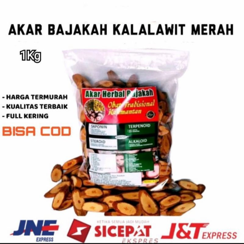 Akar Bajakah 1kg Asli Kalimantan