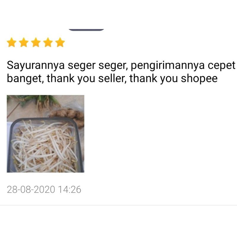 KIRIM INSTAN Toge Jepang Super 200gr