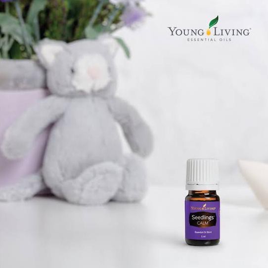 Seedling Calm Young Living Essential Oil 5Ml Dewisartikage