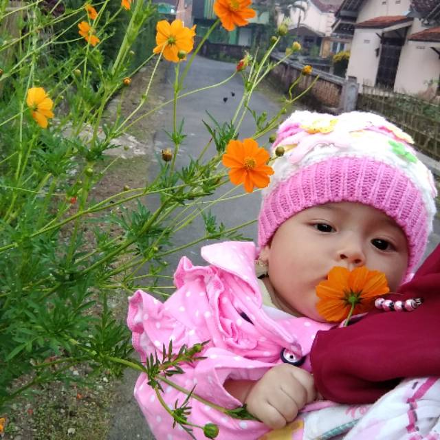 nadhifa.syakila.adzkiya