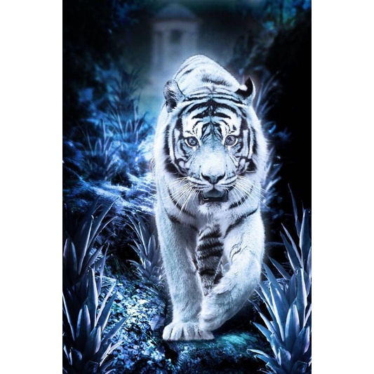 macan putih wall decor + bingkai 65×45cm