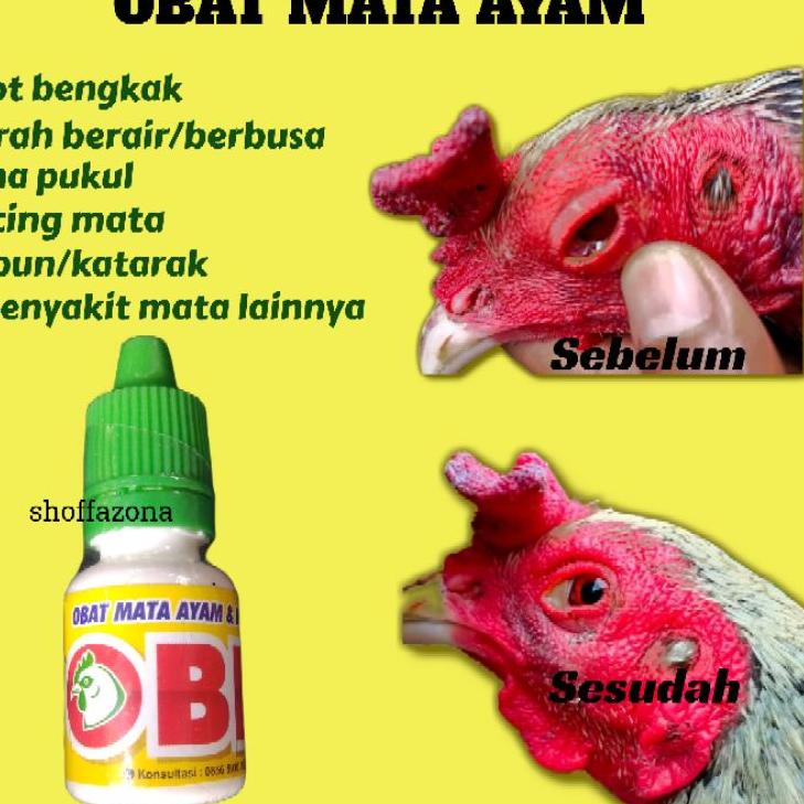 Harga Murah.. Obat Mata Ayam Obat Mata Burung , Obk Mata, Obk Mata Ayam